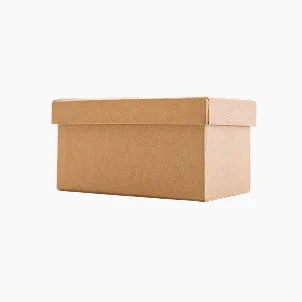 Hộp Carton Nắp Cài Giày